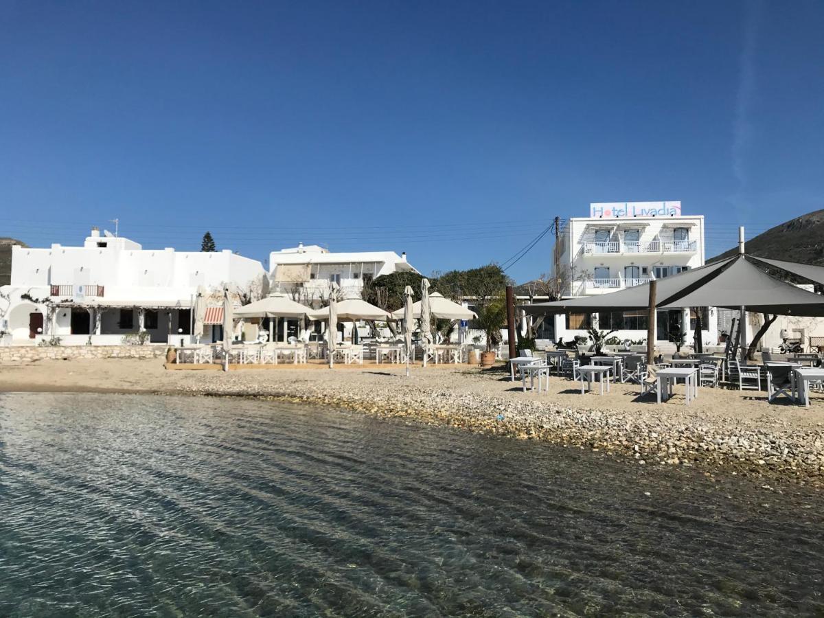 Studio Apartment Violetta At Livadia Beach パロス島 エクステリア 写真